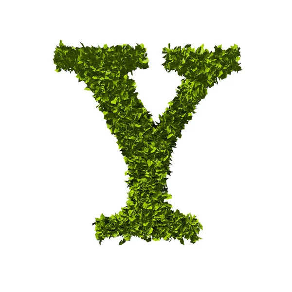 Carta Y alfabeto folha natureza. Renderização 3D — Fotografia de Stock