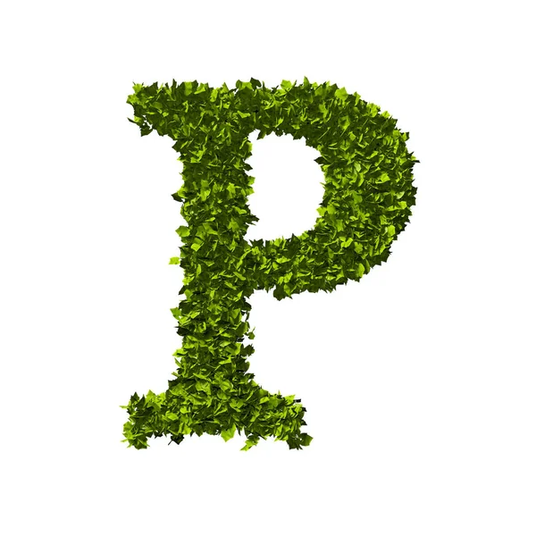 Lettre P nature alphabet des feuilles. Rendu 3D — Photo