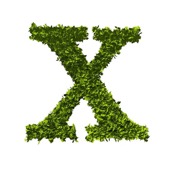 Harf X doğa yaprağı alfabesi. 3B Hazırlama — Stok fotoğraf