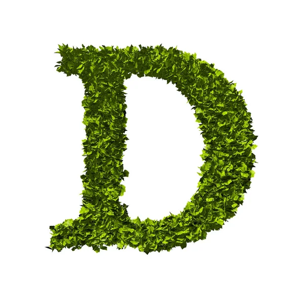 문자 D 자연 나뭇잎 알파벳. 3D 렌더링 — 스톡 사진