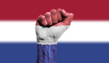 Kenetlenmiş bir yumruğa Hollanda bayrağı boyanmış. Kuvvet, Protesto konsepti