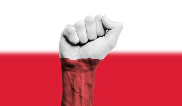 폴란드 국기는 꽉 움켜쥔 주먹 위에 칠해졌다. 강인 함, 증명 개념 — 스톡 사진