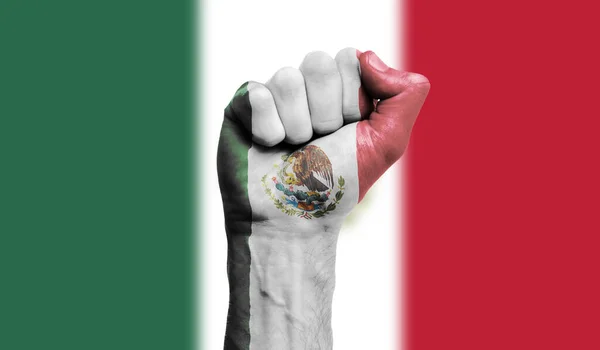 Drapeau mexicain peint sur un poing serré. Force, concept de protestation — Photo
