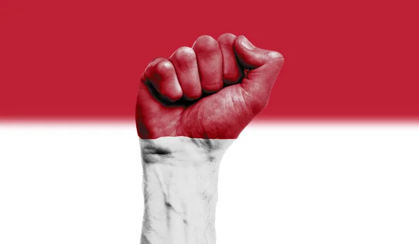 Indonesia flag painted on a clenched fist. Strength, Protest concept — Stock Photo, Image