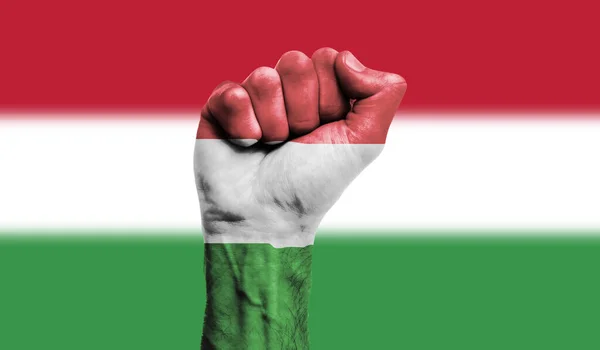 Magyarország zászlaját ökölbe szorított kézzel festették. Erő, tiltakozás koncepció — Stock Fotó