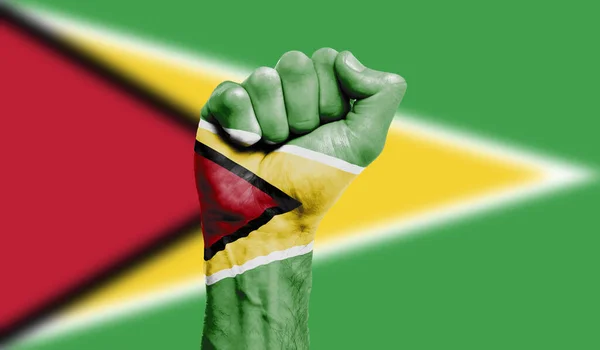 Bandera de Guyana pintada con el puño cerrado. Fuerza, concepto de protesta —  Fotos de Stock