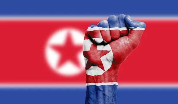 Kuzey Kore bayrağı sıkılmış bir yumruğa boyanmış. Kuvvet, Protesto konsepti — Stok fotoğraf