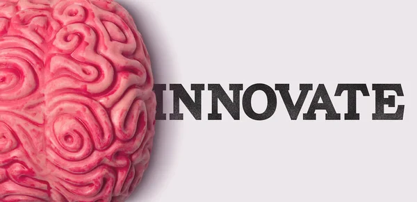 Innowacyjne słowo obok ludzkiego modelu mózgu — Zdjęcie stockowe