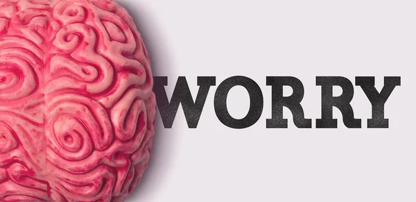 Ανησυχείτε λέξη δίπλα σε ένα ανθρώπινο μοντέλο του εγκεφάλου — Φωτογραφία Αρχείου