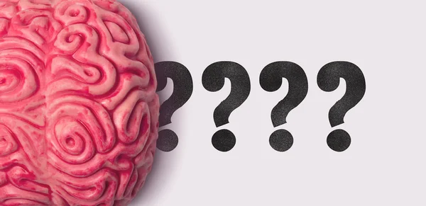 Ponto de interrogação ao lado de um modelo de cérebro humano — Fotografia de Stock