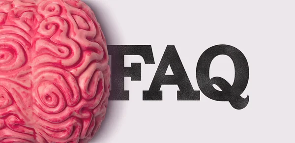 FAQ 단어는 인간의 뇌 모델 옆에 있습니다. — 스톡 사진