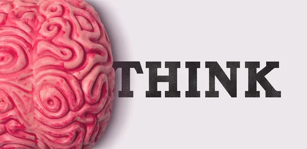 Pensar palavra ao lado de um modelo de cérebro humano — Fotografia de Stock