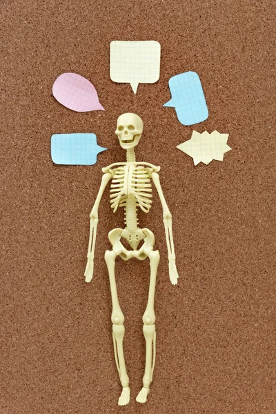 Anatomical  plastic model human skeleton on corkboard and Would Like To Say Something. Copy space on Figure Icon Set of speech and thought