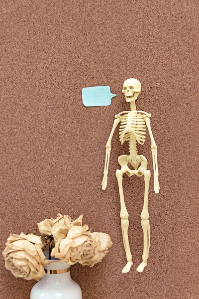 Anatomical  plastic model human skeleton and dry rose on corkboard and place for text Figure Icon Set of speech and thought