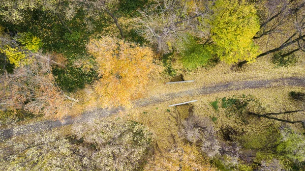 Veduta aerea della strada nel bosco passando sopra il ponte. Autunno in montagna . — Foto Stock