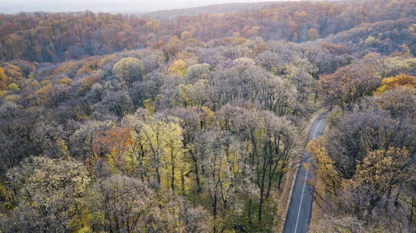 Vista aérea del camino con curvas en el bosque. Otoño alto en las montañas . — Foto de Stock