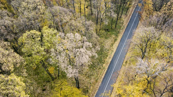Vista aérea del camino con curvas en el bosque. Otoño alto en las montañas . — Foto de Stock
