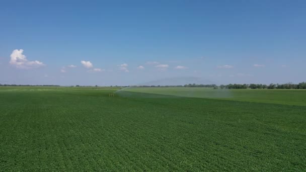 田舎の耕作地を灌漑する灌漑用噴霧器の空中撮影 — ストック動画