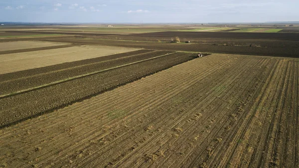 Panoramische Luftaufnahme eines landwirtschaftlich bewirtschafteten Feldes mit Traktor, der Herbstbearbeitung durchführt — Stockfoto