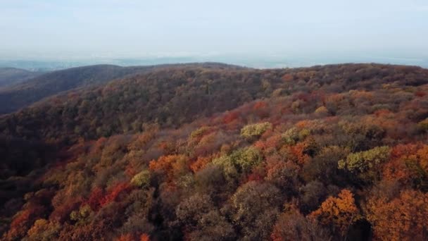 Sonbaharda Hava Manzaralı Dağ Ormanları Dağlarda Sonbahar — Stok video