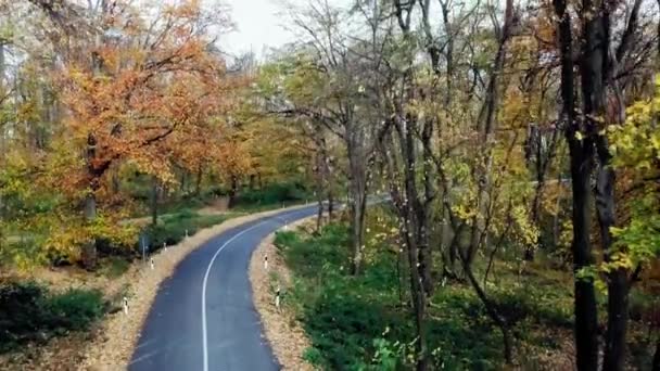 从空中俯瞰穿过森林的道路 秋天的高山 — 图库视频影像