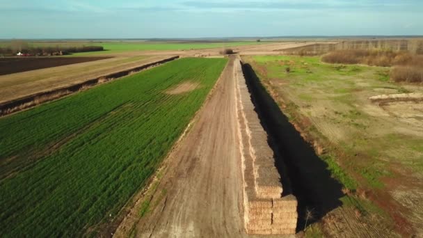 农田里干草包的空中景观 — 图库视频影像
