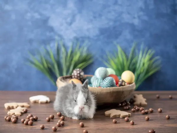 Conejo de Pascua en cesta con huevos coloridos, caramelos y tulipanes en mesa de madera. Decoraciones de vacaciones de Pascua, fondo concepto de Pascua . — Foto de Stock