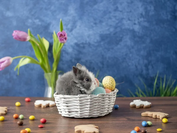 Velikonoční zajíček v košíku s barevnými vejci, cukrovinkami a tulipány na dřevěném stole. Velikonoční prázdninové dekorace, Velikonoční koncept pozadí. — Stock fotografie
