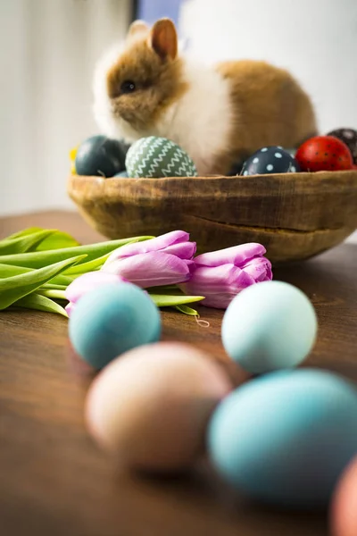 Zajączek wielkanocny w koszyku z kolorowymi jajkami, cukierkami i tulipanami na drewnianym stole. Wielkanocne dekoracje wakacyjne, tło koncepcyjne Wielkanoc. — Zdjęcie stockowe