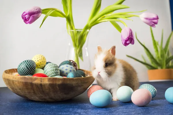 Conejo de Pascua en cesta con huevos coloridos y tulipanes en mesa de madera. Decoraciones de vacaciones de Pascua, fondo concepto de Pascua . — Foto de Stock