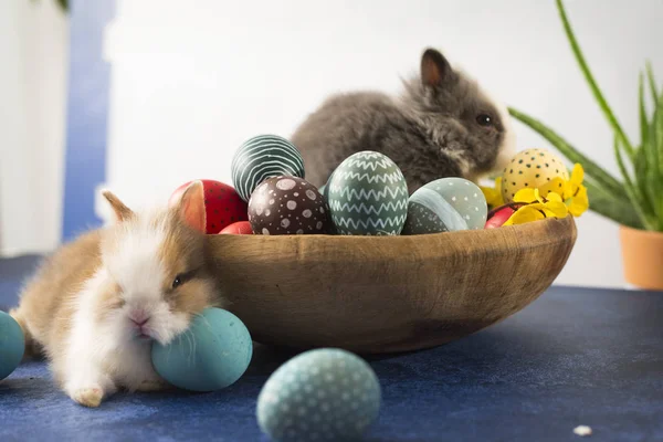 Conejo de Pascua y canasta con coloridos huevos y plumas. Decoraciones de vacaciones de Pascua, fondo concepto de Pascua . — Foto de Stock
