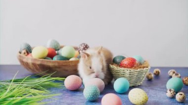 Cute Easter bunny on table with colorful eggs and tulips. Easter holiday decorations, Easter concept background.