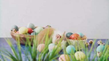 Cute Easter bunny on table with colorful eggs and tulips. Easter holiday decorations, Easter concept background.
