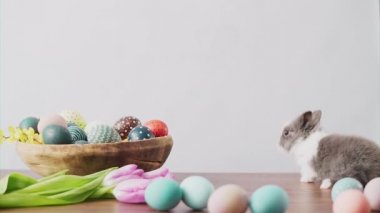 Cute Easter bunny on wooden table with colorful eggs and tulips . Easter holiday decorations, Easter concept background.