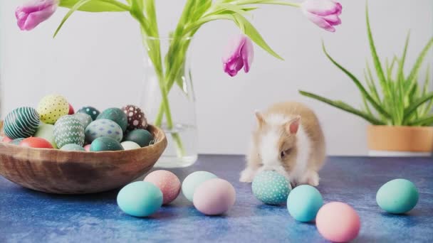 Roztomilý Velikonoční Zajíček Stole Barevnými Vejci Tulipány Velikonoční Prázdninové Dekorace — Stock video