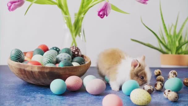 Cute Easter Bunny Table Colorful Eggs Tulips Easter Holiday Decorations — 비디오