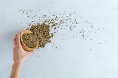 El, parlak arka planda tahta kaseye kenevir tohumları döküyor. Tıbbi esrar..