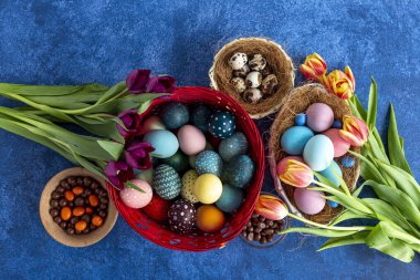 Yuvada renkli Paskalya yumurtaları ve koyu mavi arka planda laleler. Paskalya bayramı süslemeleri, Paskalya konsepti.