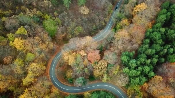 Aerial View Car Passing Curvy Road Forest Autumn High Mountains — ストック動画