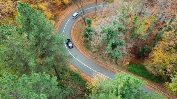 Flygfoto Bilar Som Passerar Kurvig Väg Skogen Hösten Högt Upp — Stockvideo