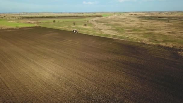 Vista Aérea Panorâmica Campo Agrícola Cultivado Com Trator Realizando Lavoura — Vídeo de Stock