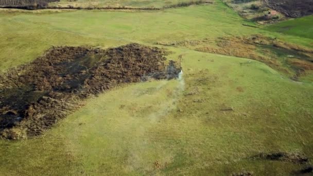 Droog Gras Brandend Het Veld Luchtfoto Van Bosbrand — Stockvideo