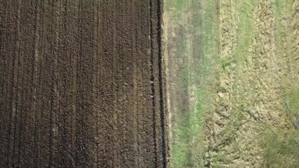 Panoramische Luftaufnahme Eines Landwirtschaftlich Bewirtschafteten Feldes Mit Traktor Der Herbstbearbeitung — Stockvideo