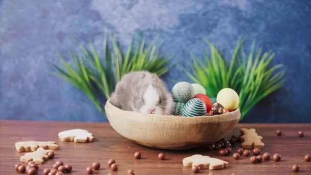 木のテーブルの上にカラフルな卵とキャンディーが入ったバスケットのかわいいイースターバニー イースターの祝日の飾り — ストック動画