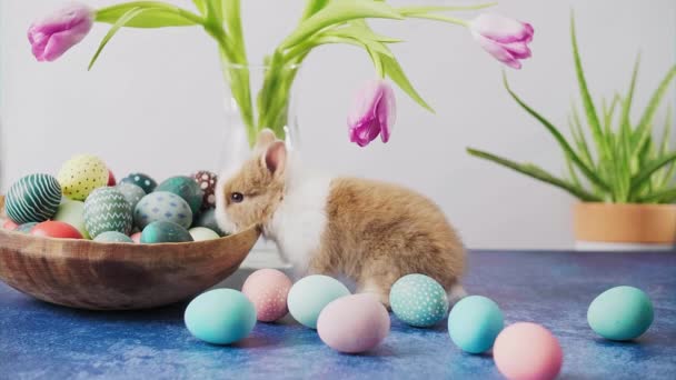 Roztomilý Velikonoční Zajíček Stole Barevnými Vejci Tulipány Velikonoční Sváteční Dekorace — Stock video