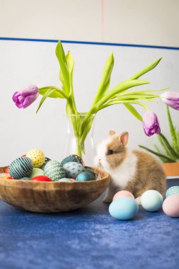 Paskalya tavşanı sepetinde renkli yumurtalar ve ahşap masada laleler. Paskalya bayramı süslemeleri, Paskalya konsepti.