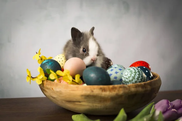 Пасхальный Кролик Корзине Красочными Яйцами Конфетками Тюльпанами Деревянном Столе Пасхальные — стоковое фото