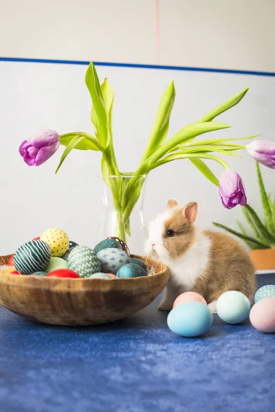 Пасхальный Кролик Корзине Красочными Яйцами Тюльпанами Деревянном Столе Пасхальные Украшения — стоковое фото