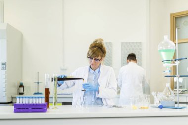Gözlük takan kadın kimya bilimci laboratuvarda kenevir CBD ve CBDA yağlarıyla çalışıyor. Lateks eldiven, cam tüpler ve erlenmeyer şişeleri kullanıyor. Esrar tohumlarından alınan sağlık hizmetleri eczanesi.