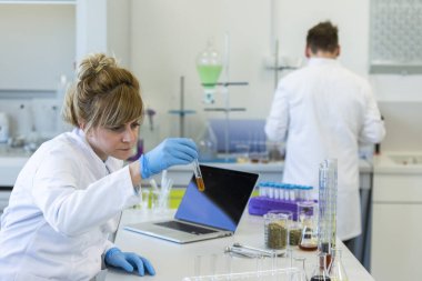 Gözlük takan kadın kimya bilimci laboratuvarda kenevir CBD ve CBDA yağlarıyla çalışıyor. Lateks eldiven, cam tüpler ve erlenmeyer şişeleri kullanıyor. Esrar tohumlarından alınan sağlık hizmetleri eczanesi.
